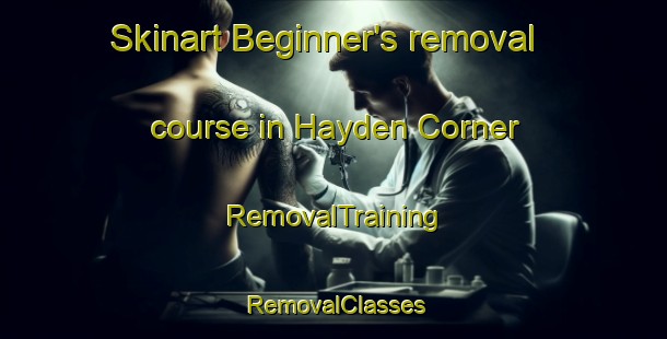 Skinart Beginner's removal course in Hayden Corner | RemovalTraining | RemovalClasses | SkinartTraining-United States