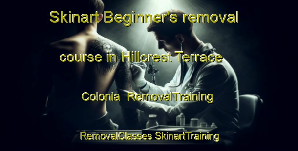 Skinart Beginner's removal course in Hillcrest Terrace Colonia | #RemovalTraining #RemovalClasses #SkinartTraining-United States