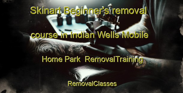 Skinart Beginner's removal course in Indian Wells Mobile Home Park | RemovalTraining | RemovalClasses | SkinartTraining-United States