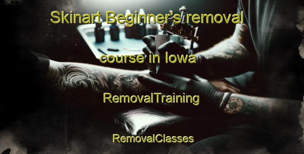 Skinart Beginner's removal course in Iowa | RemovalTraining | RemovalClasses | SkinartTraining-United States