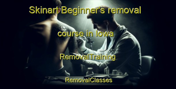 Skinart Beginner's removal course in Iowa | RemovalTraining | RemovalClasses | SkinartTraining-United States