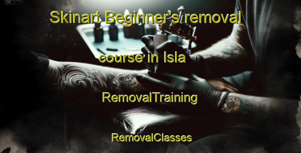 Skinart Beginner's removal course in Isla | RemovalTraining | RemovalClasses | SkinartTraining-United States