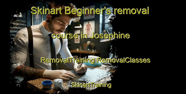 Skinart Beginner's removal course in Josephine | #RemovalTraining #RemovalClasses #SkinartTraining-United States