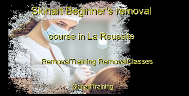 Skinart Beginner's removal course in La Reussite | #RemovalTraining #RemovalClasses #SkinartTraining-United States