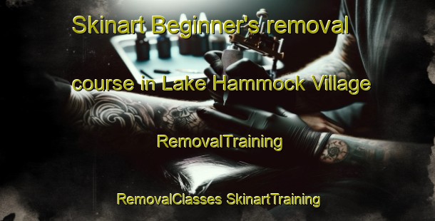 Skinart Beginner's removal course in Lake Hammock Village | #RemovalTraining #RemovalClasses #SkinartTraining-United States