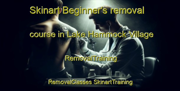 Skinart Beginner's removal course in Lake Hammock Village | #RemovalTraining #RemovalClasses #SkinartTraining-United States