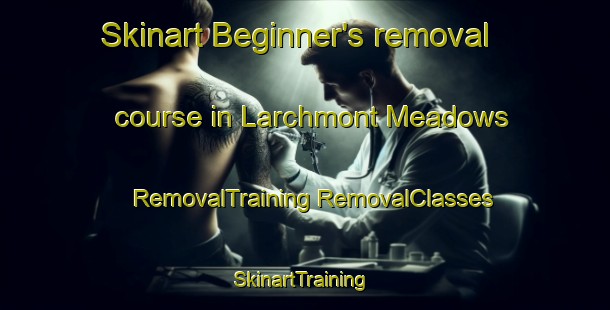 Skinart Beginner's removal course in Larchmont Meadows | #RemovalTraining #RemovalClasses #SkinartTraining-United States