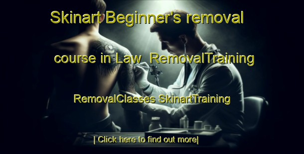 Skinart Beginner's removal course in Law | #RemovalTraining #RemovalClasses #SkinartTraining-United States