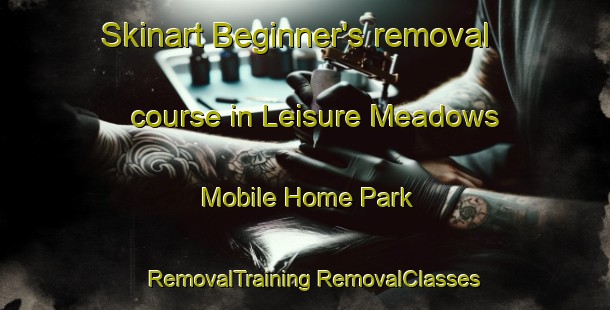 Skinart Beginner's removal course in Leisure Meadows Mobile Home Park | #RemovalTraining #RemovalClasses #SkinartTraining-United States