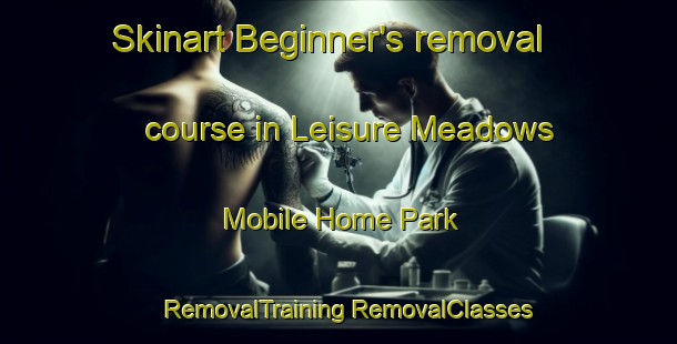 Skinart Beginner's removal course in Leisure Meadows Mobile Home Park | #RemovalTraining #RemovalClasses #SkinartTraining-United States