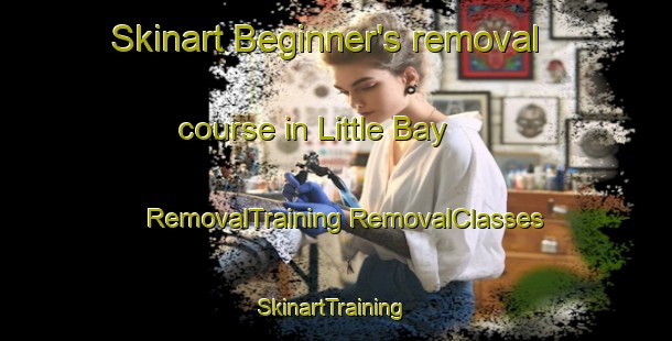 Skinart Beginner's removal course in Little Bay | #RemovalTraining #RemovalClasses #SkinartTraining-United States