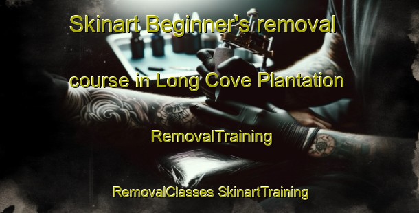 Skinart Beginner's removal course in Long Cove Plantation | #RemovalTraining #RemovalClasses #SkinartTraining-United States