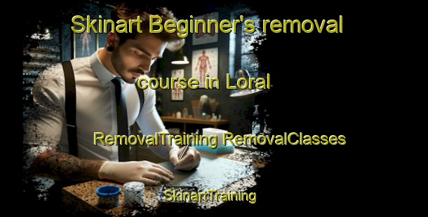 Skinart Beginner's removal course in Loral | #RemovalTraining #RemovalClasses #SkinartTraining-United States