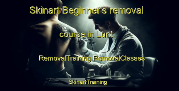 Skinart Beginner's removal course in Lunt | #RemovalTraining #RemovalClasses #SkinartTraining-United States