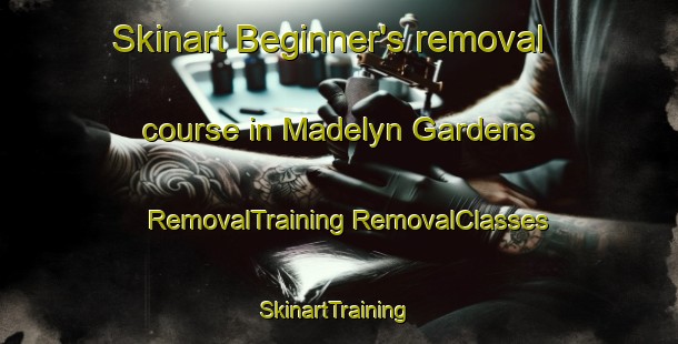 Skinart Beginner's removal course in Madelyn Gardens | #RemovalTraining #RemovalClasses #SkinartTraining-United States