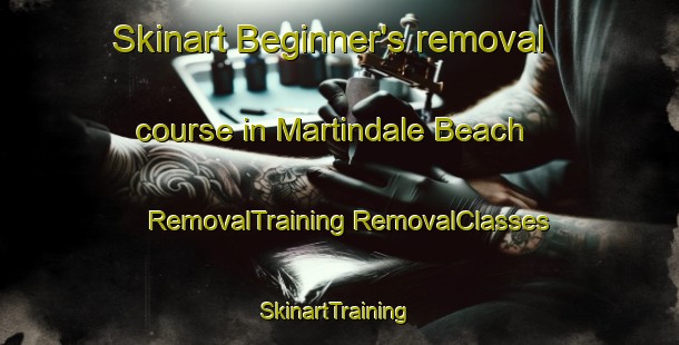 Skinart Beginner's removal course in Martindale Beach | #RemovalTraining #RemovalClasses #SkinartTraining-United States