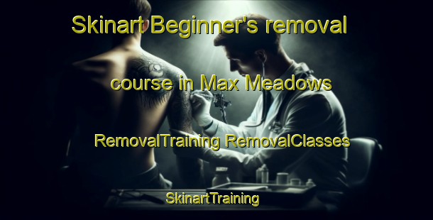 Skinart Beginner's removal course in Max Meadows | #RemovalTraining #RemovalClasses #SkinartTraining-United States