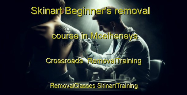 Skinart Beginner's removal course in Mcelheneys Crossroads | #RemovalTraining #RemovalClasses #SkinartTraining-United States