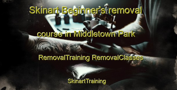 Skinart Beginner's removal course in Middletown Park | #RemovalTraining #RemovalClasses #SkinartTraining-United States