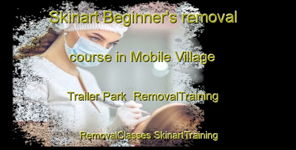 Skinart Beginner's removal course in Mobile Village Trailer Park | #RemovalTraining #RemovalClasses #SkinartTraining-United States