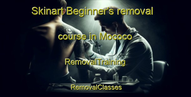 Skinart Beginner's removal course in Mococo | RemovalTraining | RemovalClasses | SkinartTraining-United States