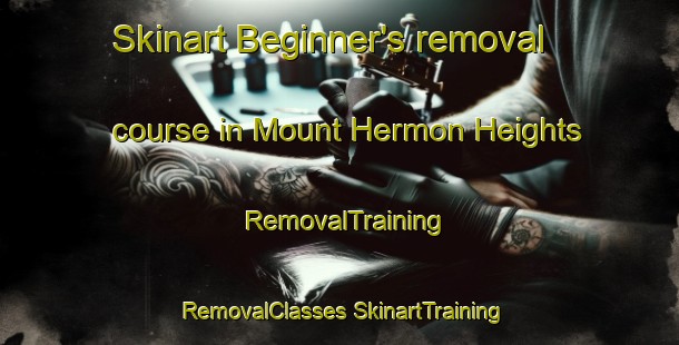 Skinart Beginner's removal course in Mount Hermon Heights | #RemovalTraining #RemovalClasses #SkinartTraining-United States