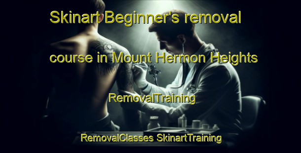 Skinart Beginner's removal course in Mount Hermon Heights | #RemovalTraining #RemovalClasses #SkinartTraining-United States