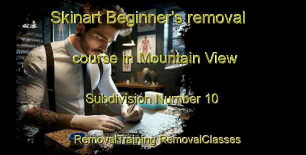 Skinart Beginner's removal course in Mountain View Subdivision Number 10 | #RemovalTraining #RemovalClasses #SkinartTraining-United States