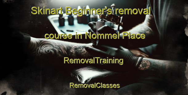 Skinart Beginner's removal course in Nommel Place | RemovalTraining | RemovalClasses | SkinartTraining-United States