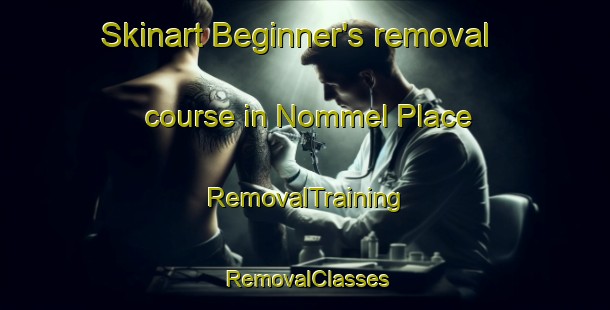 Skinart Beginner's removal course in Nommel Place | RemovalTraining | RemovalClasses | SkinartTraining-United States