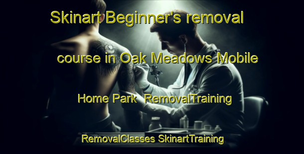 Skinart Beginner's removal course in Oak Meadows Mobile Home Park | #RemovalTraining #RemovalClasses #SkinartTraining-United States