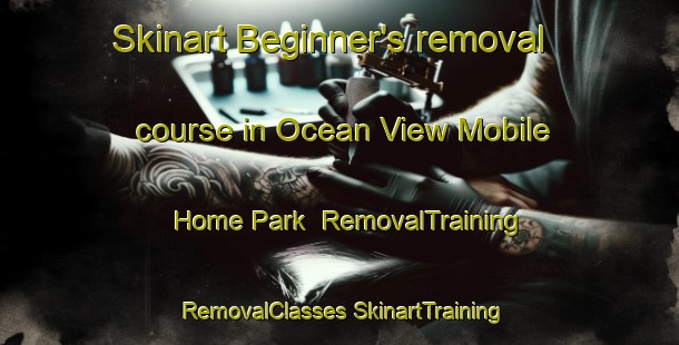 Skinart Beginner's removal course in Ocean View Mobile Home Park | #RemovalTraining #RemovalClasses #SkinartTraining-United States