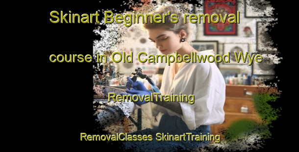 Skinart Beginner's removal course in Old Campbellwood Wye | #RemovalTraining #RemovalClasses #SkinartTraining-United States