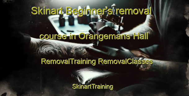 Skinart Beginner's removal course in Orangemans Hall | #RemovalTraining #RemovalClasses #SkinartTraining-United States