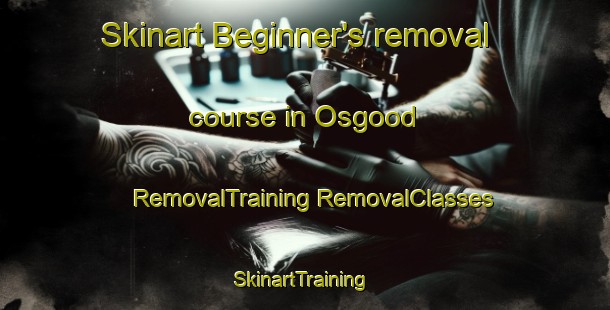 Skinart Beginner's removal course in Osgood | #RemovalTraining #RemovalClasses #SkinartTraining-United States