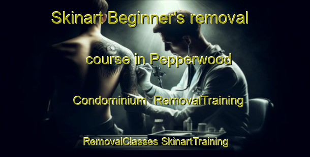 Skinart Beginner's removal course in Pepperwood Condominium | #RemovalTraining #RemovalClasses #SkinartTraining-United States