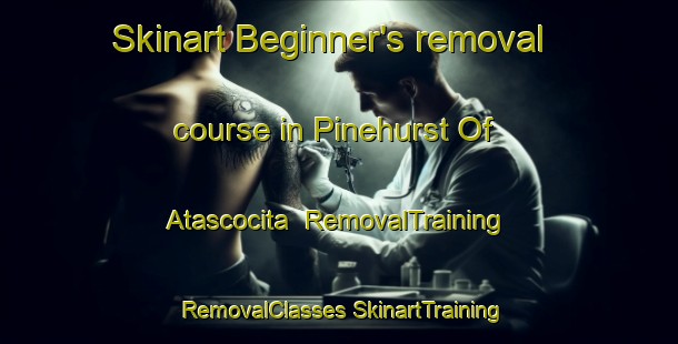 Skinart Beginner's removal course in Pinehurst Of Atascocita | #RemovalTraining #RemovalClasses #SkinartTraining-United States