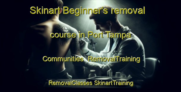 Skinart Beginner's removal course in Port Tampa Communities | #RemovalTraining #RemovalClasses #SkinartTraining-United States