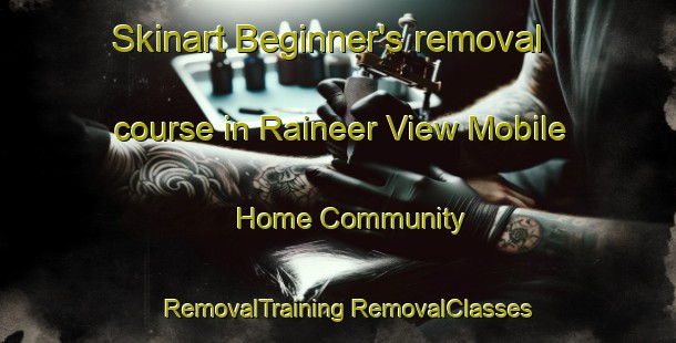 Skinart Beginner's removal course in Raineer View Mobile Home Community | #RemovalTraining #RemovalClasses #SkinartTraining-United States