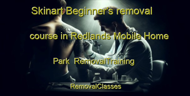 Skinart Beginner's removal course in Redlands Mobile Home Park | RemovalTraining | RemovalClasses | SkinartTraining-United States