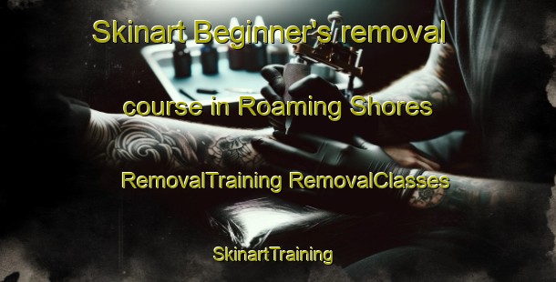 Skinart Beginner's removal course in Roaming Shores | #RemovalTraining #RemovalClasses #SkinartTraining-United States