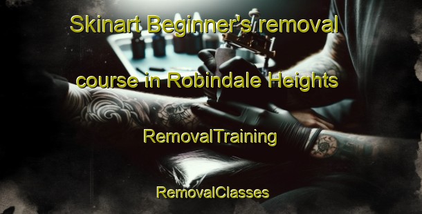 Skinart Beginner's removal course in Robindale Heights | RemovalTraining | RemovalClasses | SkinartTraining-United States