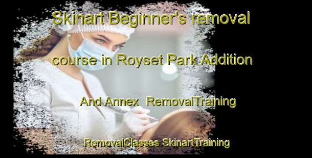 Skinart Beginner's removal course in Royset Park Addition And Annex | #RemovalTraining #RemovalClasses #SkinartTraining-United States