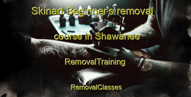 Skinart Beginner's removal course in Shawanee | RemovalTraining | RemovalClasses | SkinartTraining-United States
