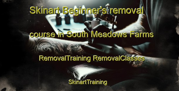 Skinart Beginner's removal course in South Meadows Farms | #RemovalTraining #RemovalClasses #SkinartTraining-United States