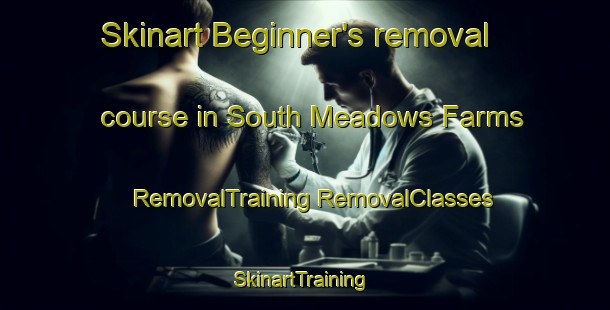 Skinart Beginner's removal course in South Meadows Farms | #RemovalTraining #RemovalClasses #SkinartTraining-United States