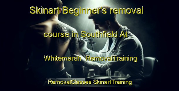 Skinart Beginner's removal course in Southfield At Whitemarsh | #RemovalTraining #RemovalClasses #SkinartTraining-United States