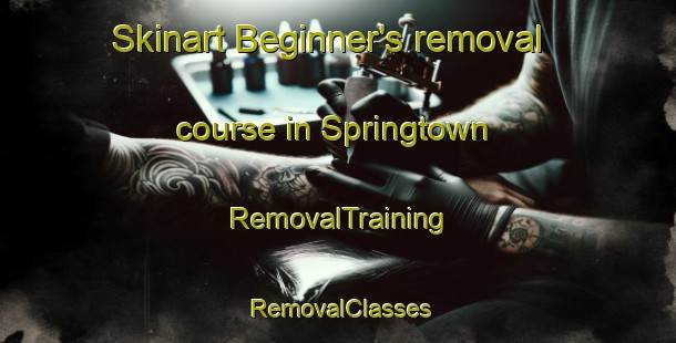 Skinart Beginner's removal course in Springtown | RemovalTraining | RemovalClasses | SkinartTraining-United States