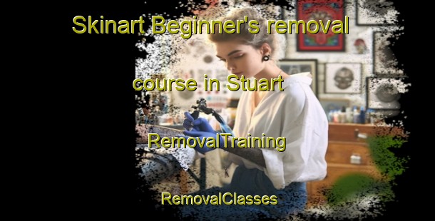 Skinart Beginner's removal course in Stuart | RemovalTraining | RemovalClasses | SkinartTraining-United States