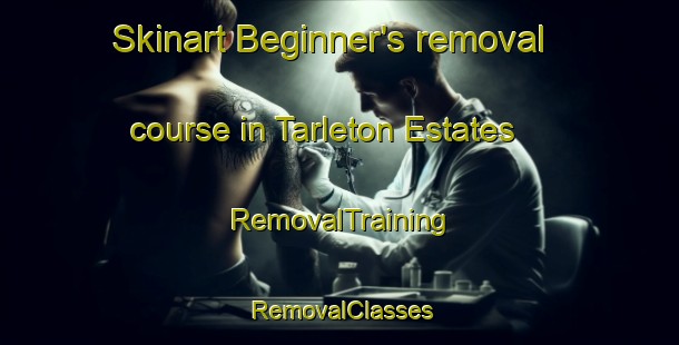 Skinart Beginner's removal course in Tarleton Estates | RemovalTraining | RemovalClasses | SkinartTraining-United States
